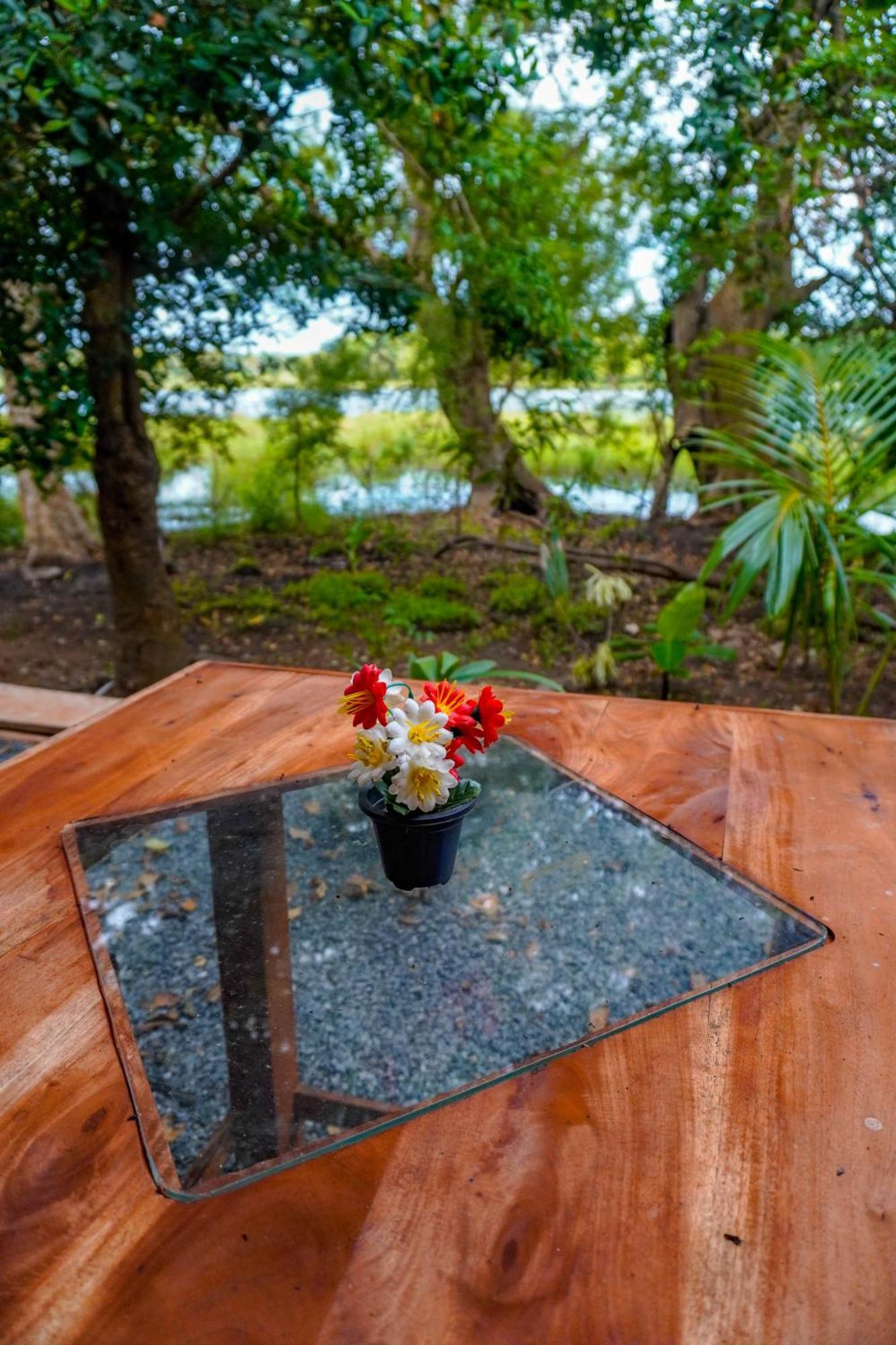 Nature Lotus Villa Dambulla Exterior foto